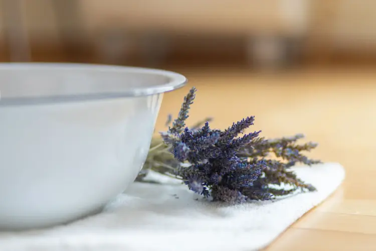 Foto von Naturheilkunde